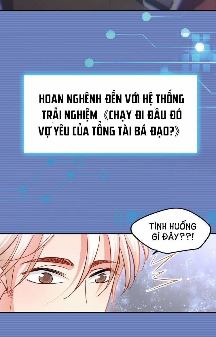 Tổng Tài Bá Đạo? Không Có Thật Đâu! Chương 1 Ảnh 4