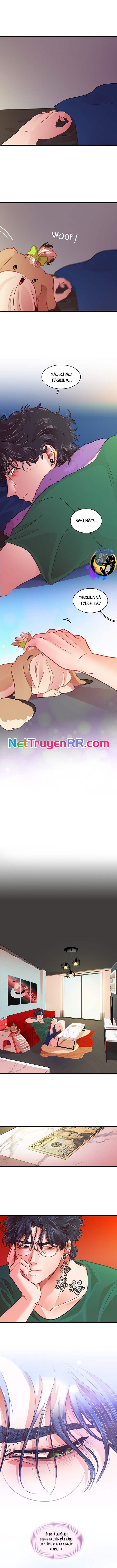 Tình Yêu Dẫn Lối Chương 38 Ảnh 5
