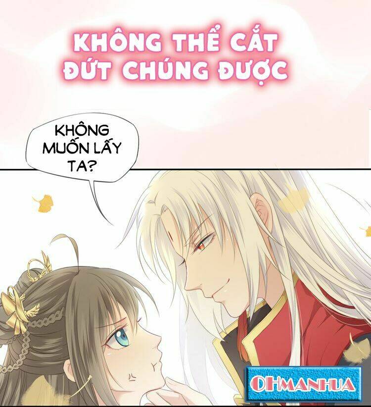 Tước Kiều Tiên Chương 0 Ảnh 21