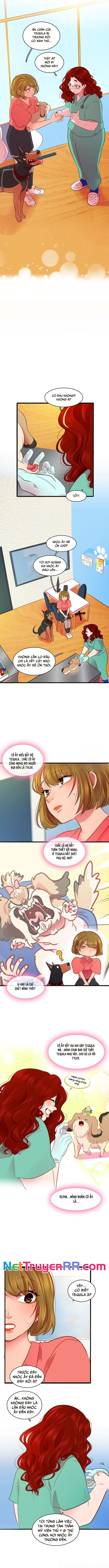 Tình Yêu Dẫn Lối Chương 42 Ảnh 4