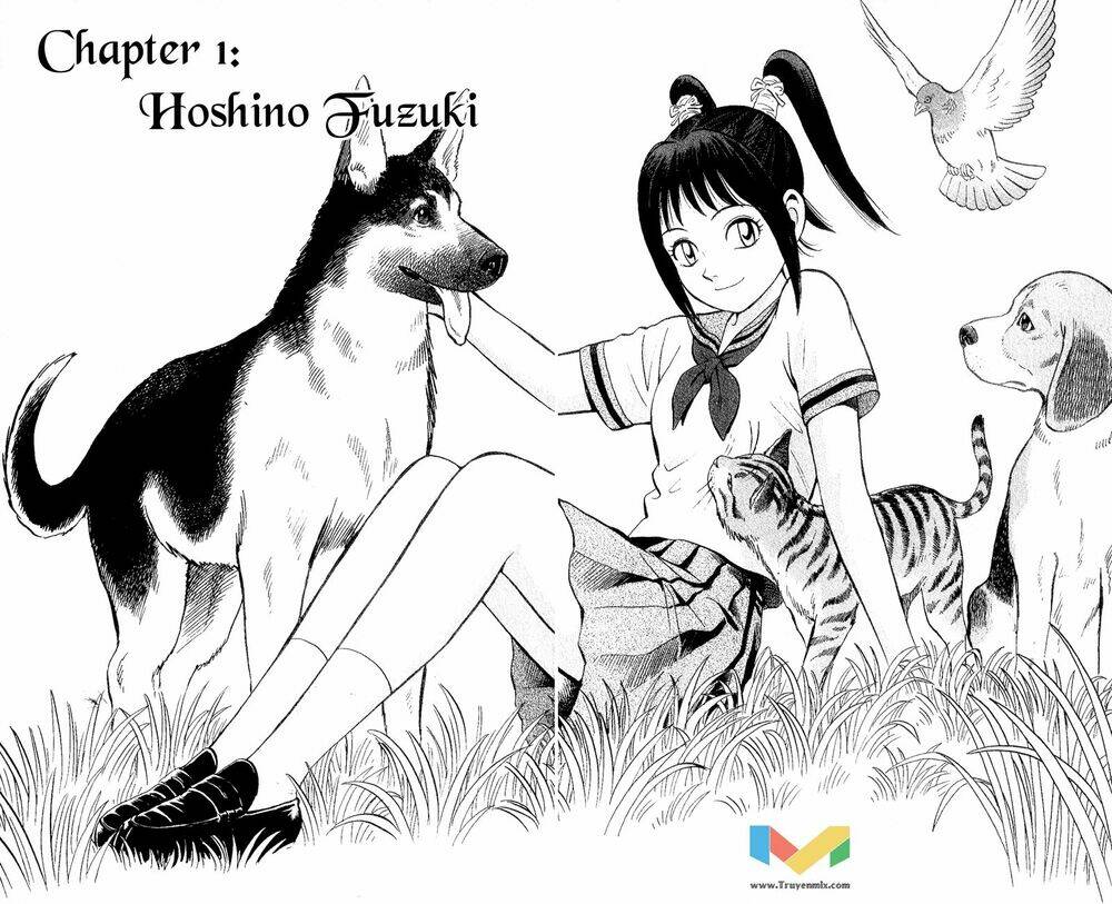 Animal Sense Chương 1 Ảnh 11