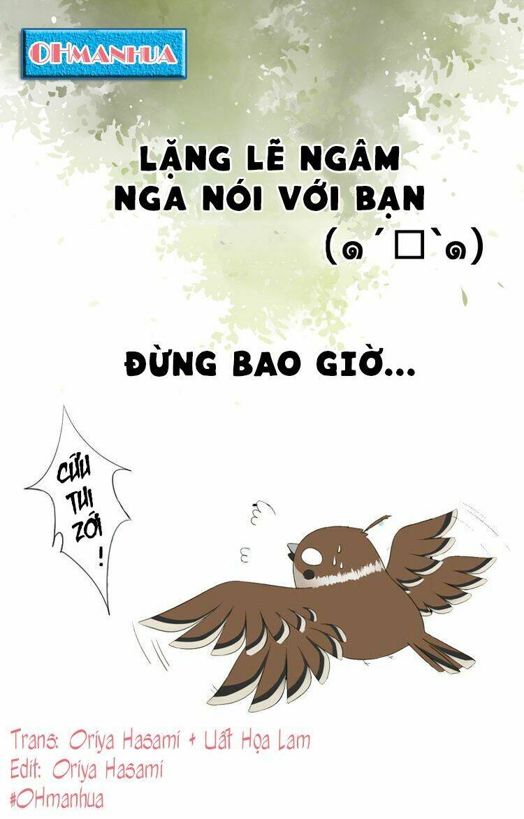 Tước Kiều Tiên Chương 0 Ảnh 3
