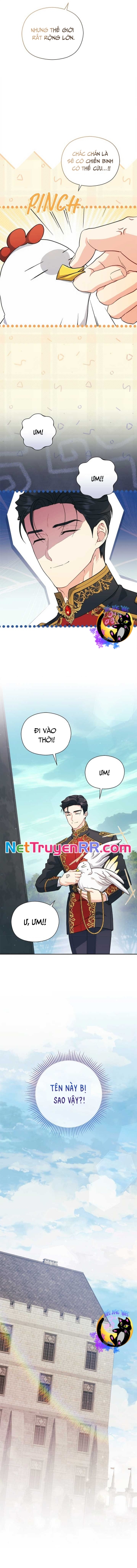 Công Chúa Trong Chuồng Gà Chương 9 Ảnh 9