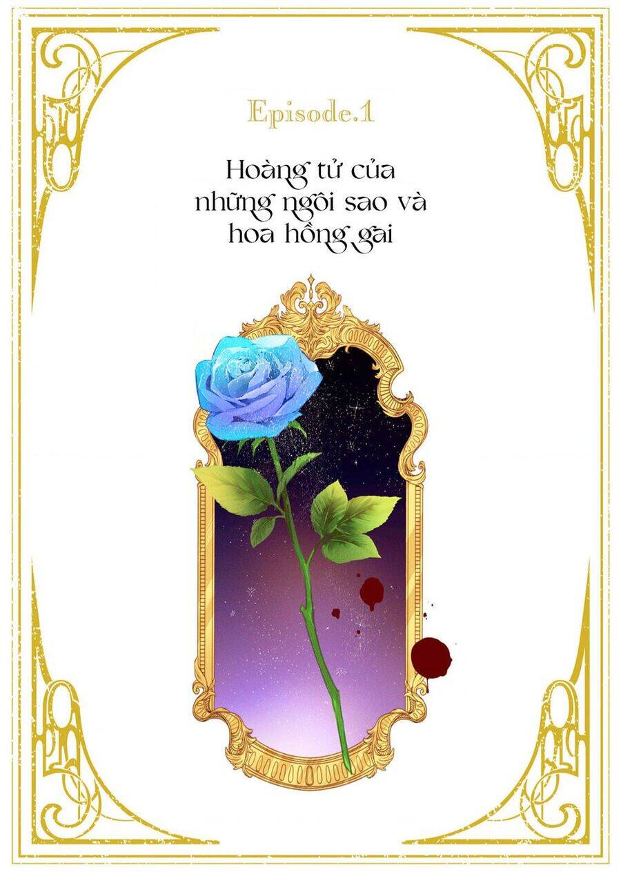 Hoa Hồng Ẩn Giấu Sao Băng Chương 1 Ảnh 3