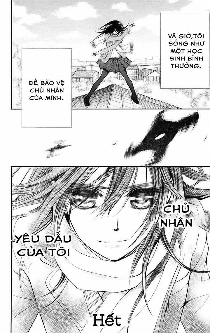 Kirio Mikage - Hậu Duệ Gia Tộc Ninja Chương 11 Ảnh 33