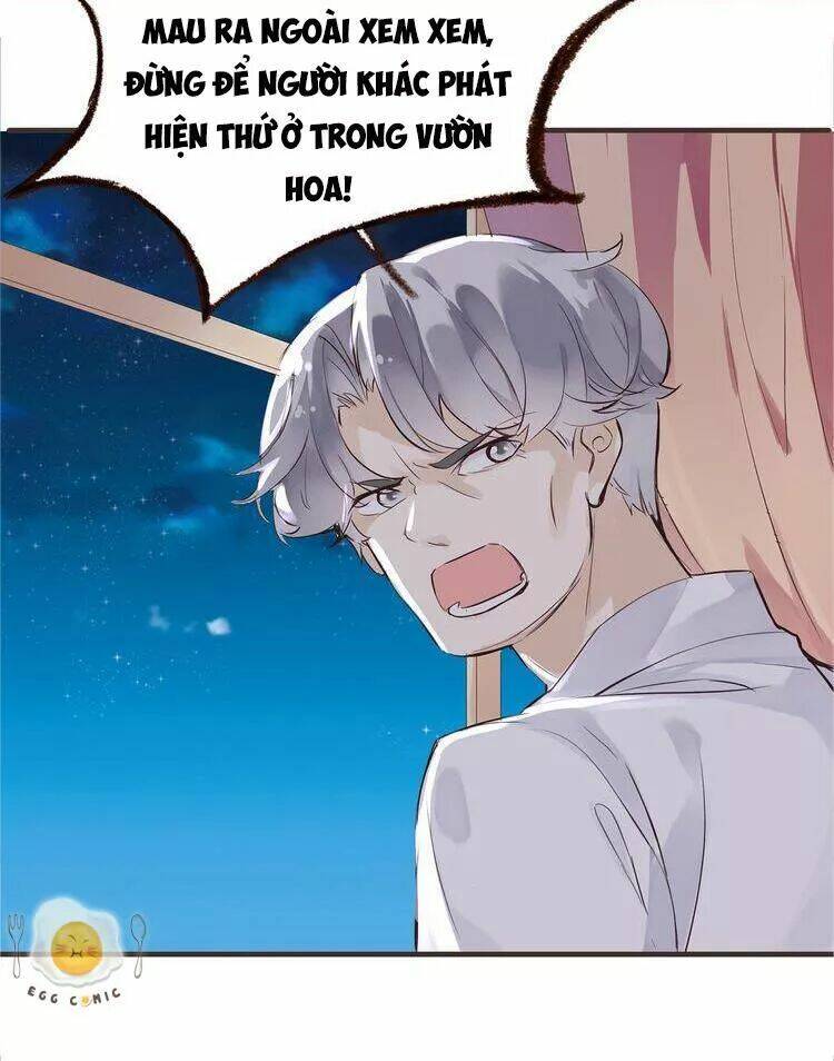 Nở Rộ Trên Bụi Gai Chương 45 Ảnh 9