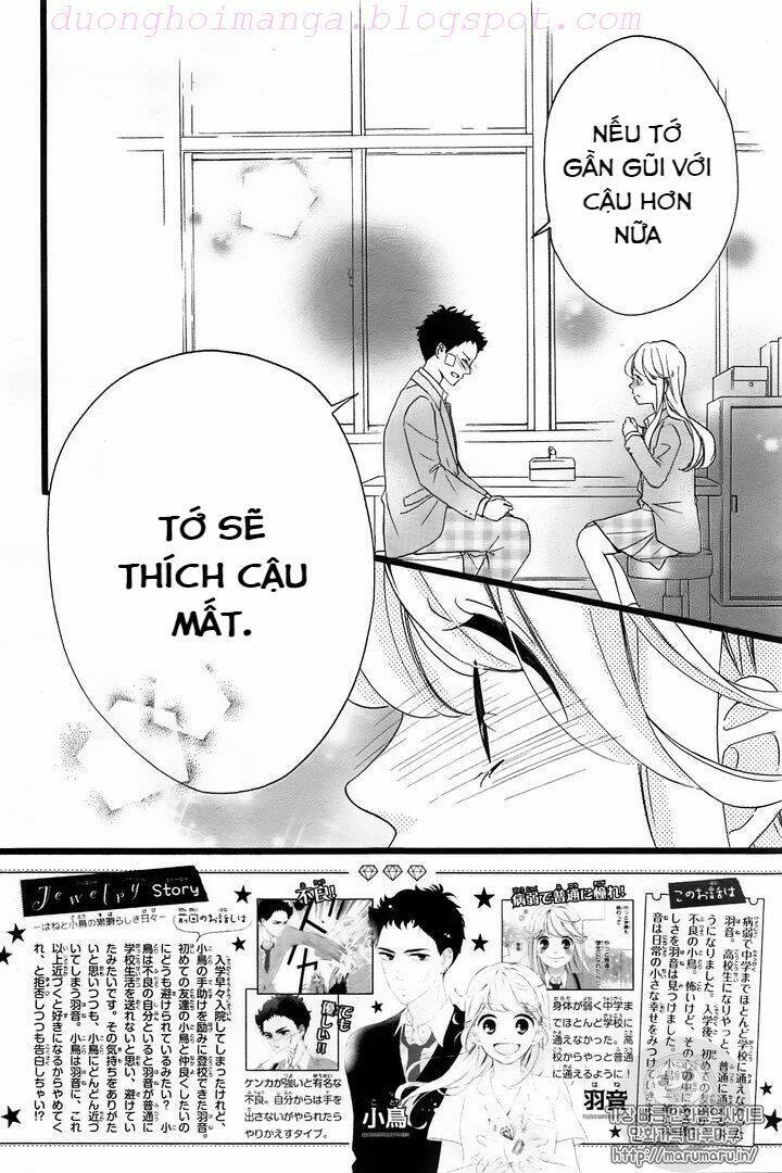 Jewelry - Hane To Kotori No Subarashiki Hibi Chương 4 Ảnh 5