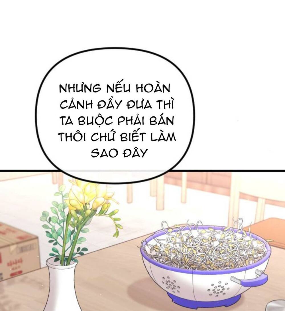 Tình Cờ Ta Gặp Nhau Chương 20 Ảnh 81