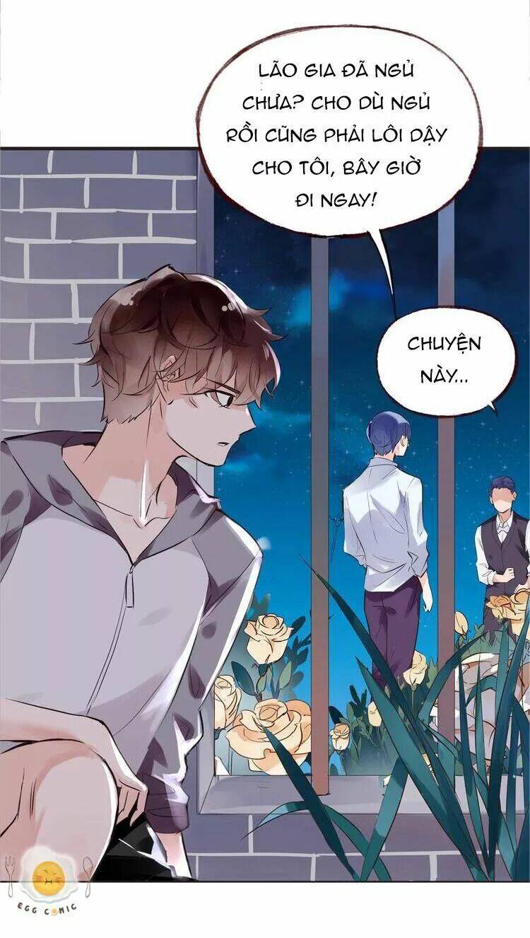 Nở Rộ Trên Bụi Gai Chương 44 Ảnh 44