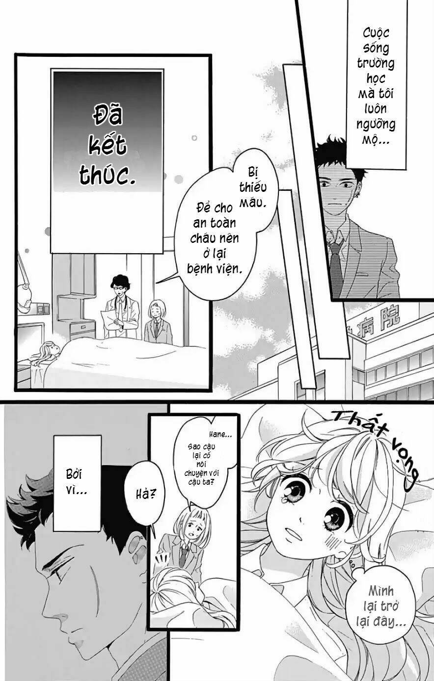 Jewelry - Hane To Kotori No Subarashiki Hibi Chương 1 Ảnh 17