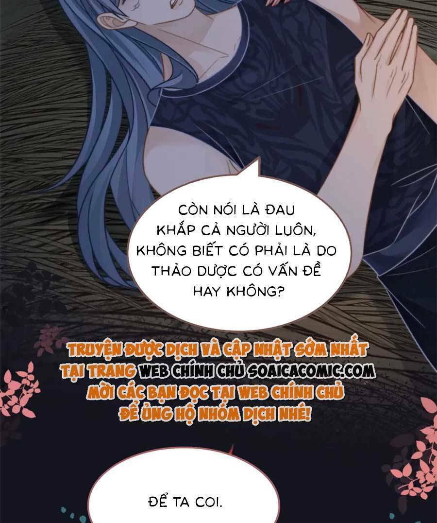 Xuyên Nhanh Nữ Phụ Bình Tĩnh Chút Chương 166 Ảnh 36