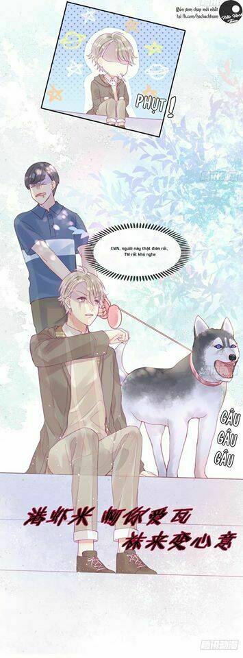 Vương Bài Điềm Mật Chương 1 Ảnh 31