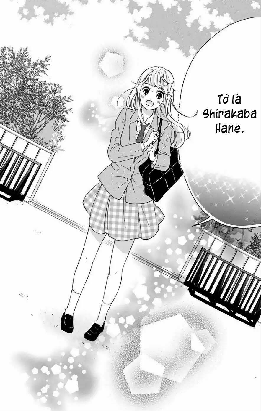 Jewelry - Hane To Kotori No Subarashiki Hibi Chương 1 Ảnh 49