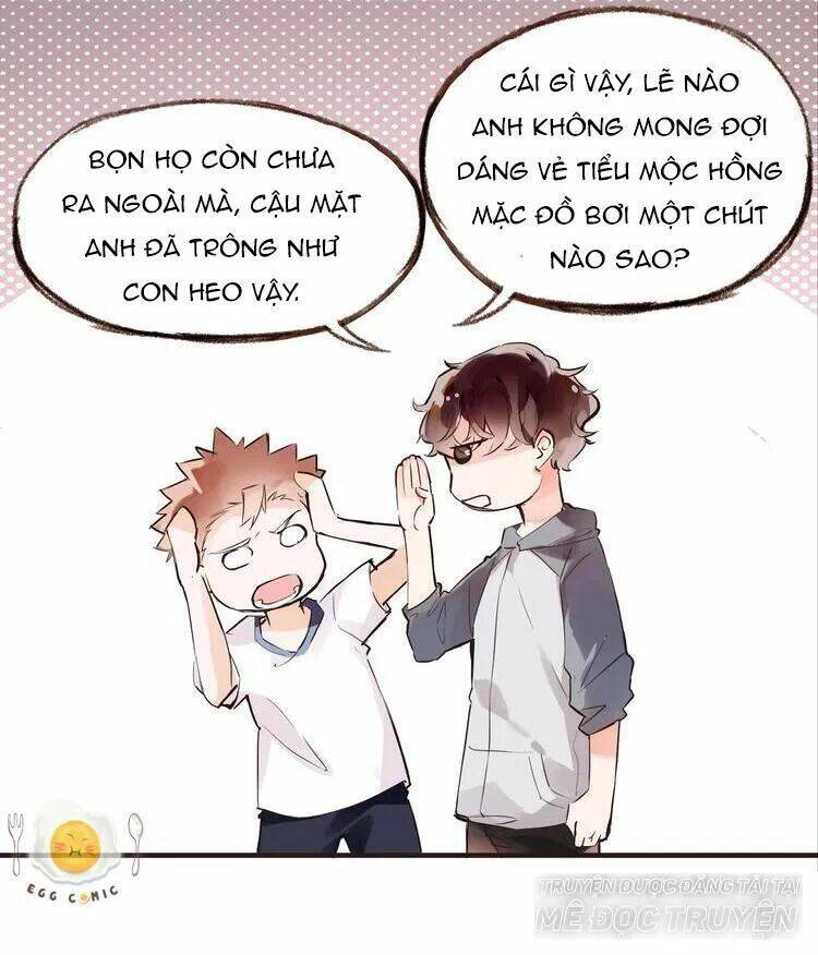 Nở Rộ Trên Bụi Gai Chương 43 Ảnh 7