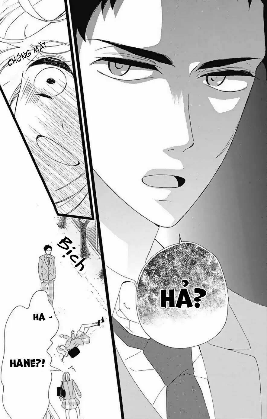 Jewelry - Hane To Kotori No Subarashiki Hibi Chương 1 Ảnh 16