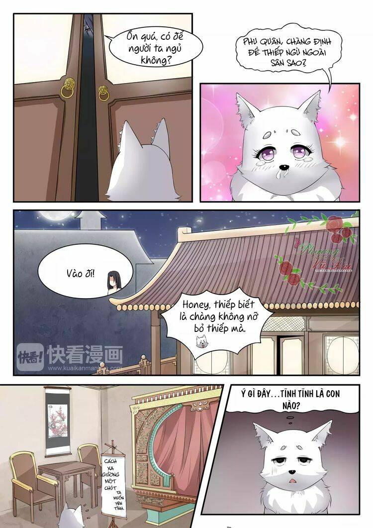 Sủng Hồ Thành Phi Chương 25 Ảnh 4