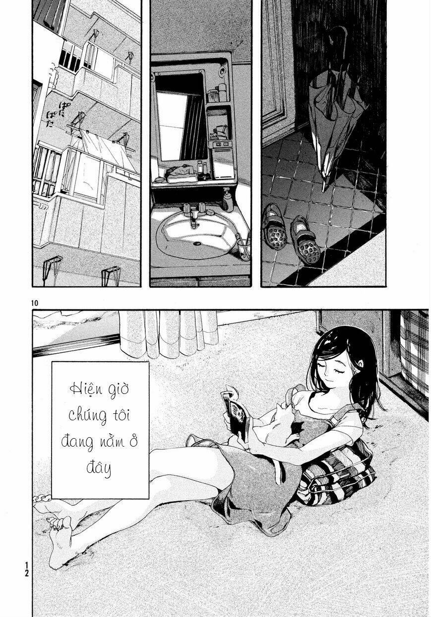 Chú Mèo Và Cô Chủ Chương 1 Ảnh 9
