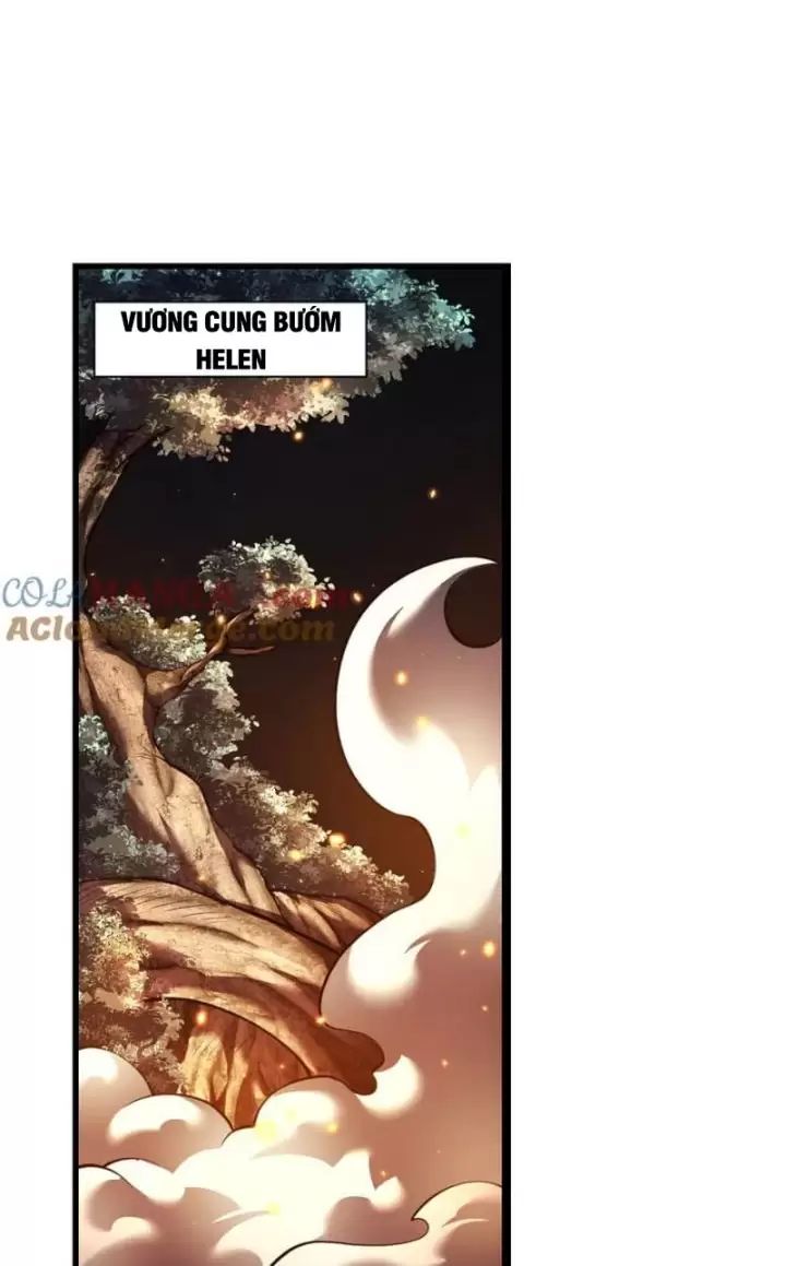 Ta, Chúa Tể Rừng Xanh Chương 28 Ảnh 13