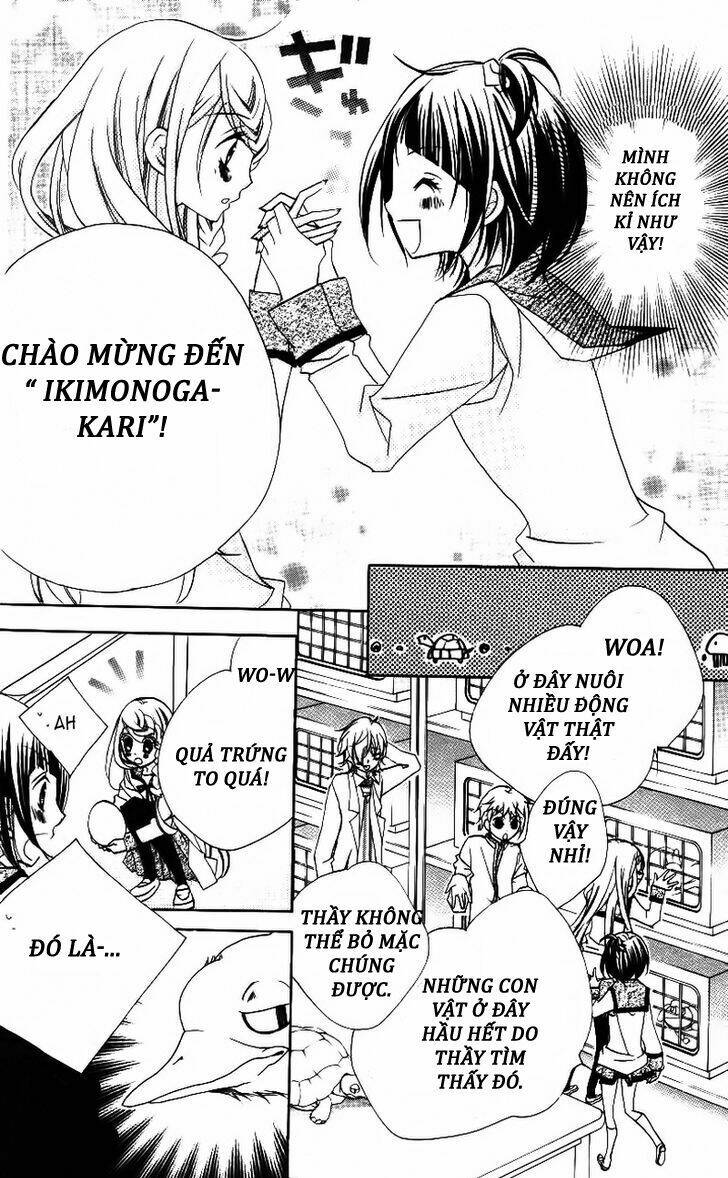 1-Nen 5-Kumi Ikimono Gakari Chương 4 Ảnh 14