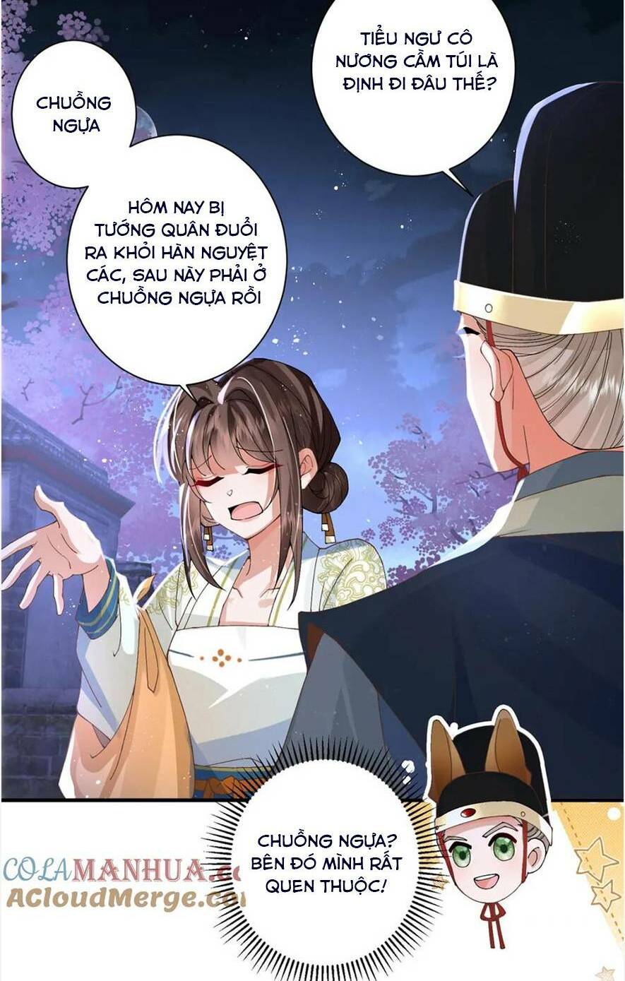 Phượng Hoàng Quy Hồi Chương 15 Ảnh 10