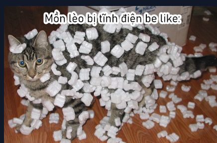 Cô Nàng Mèo Ngủ Gật Và Chàng Trai Hướng Nội Chương 23 Ảnh 5