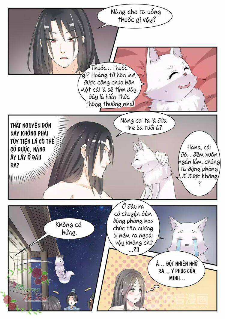 Sủng Hồ Thành Phi Chương 24 Ảnh 11