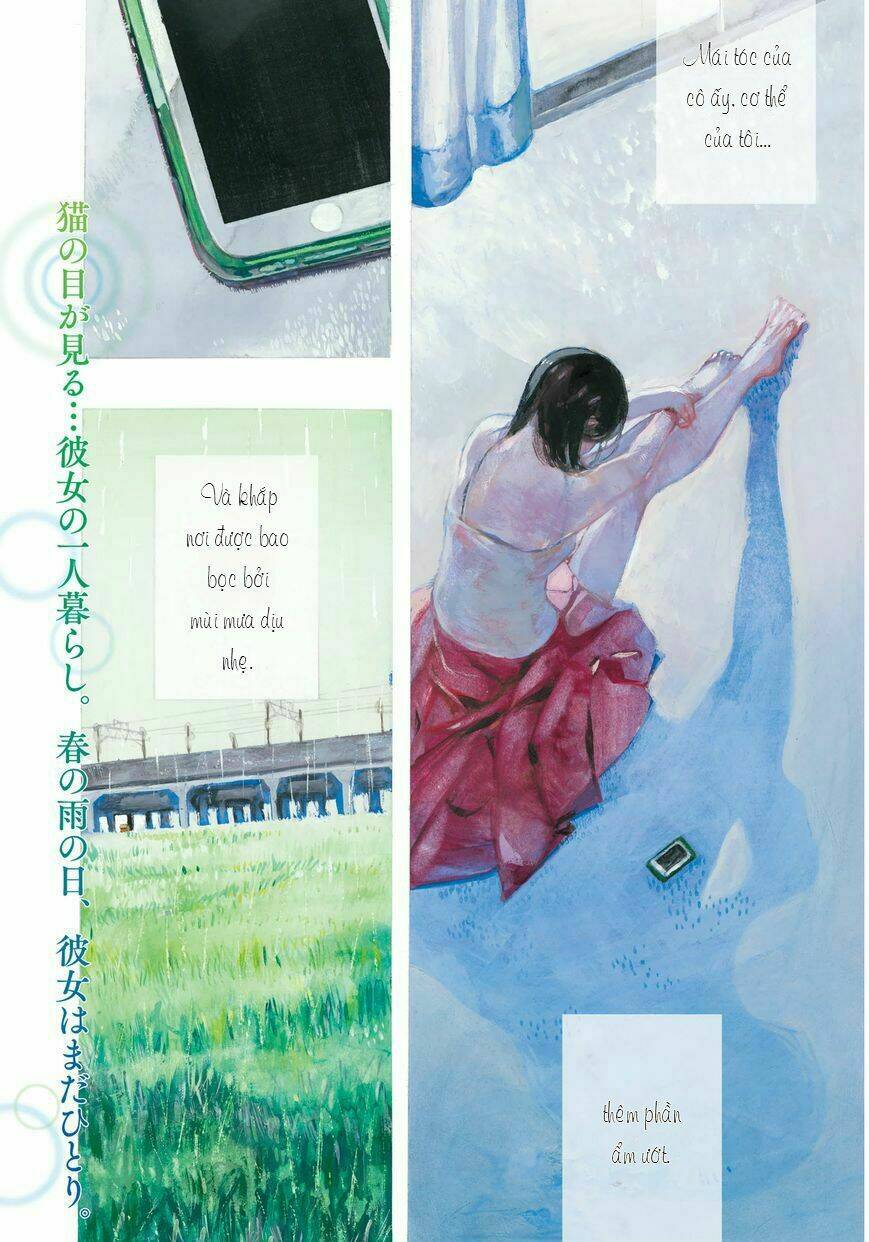 Chú Mèo Và Cô Chủ Chương 1 Ảnh 4
