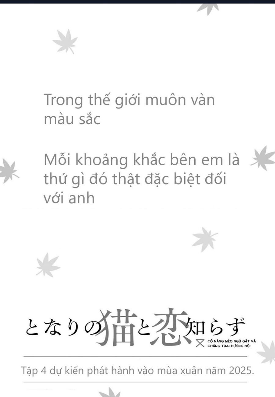 Cô Nàng Mèo Ngủ Gật Và Chàng Trai Hướng Nội Chương 22 Ảnh 23