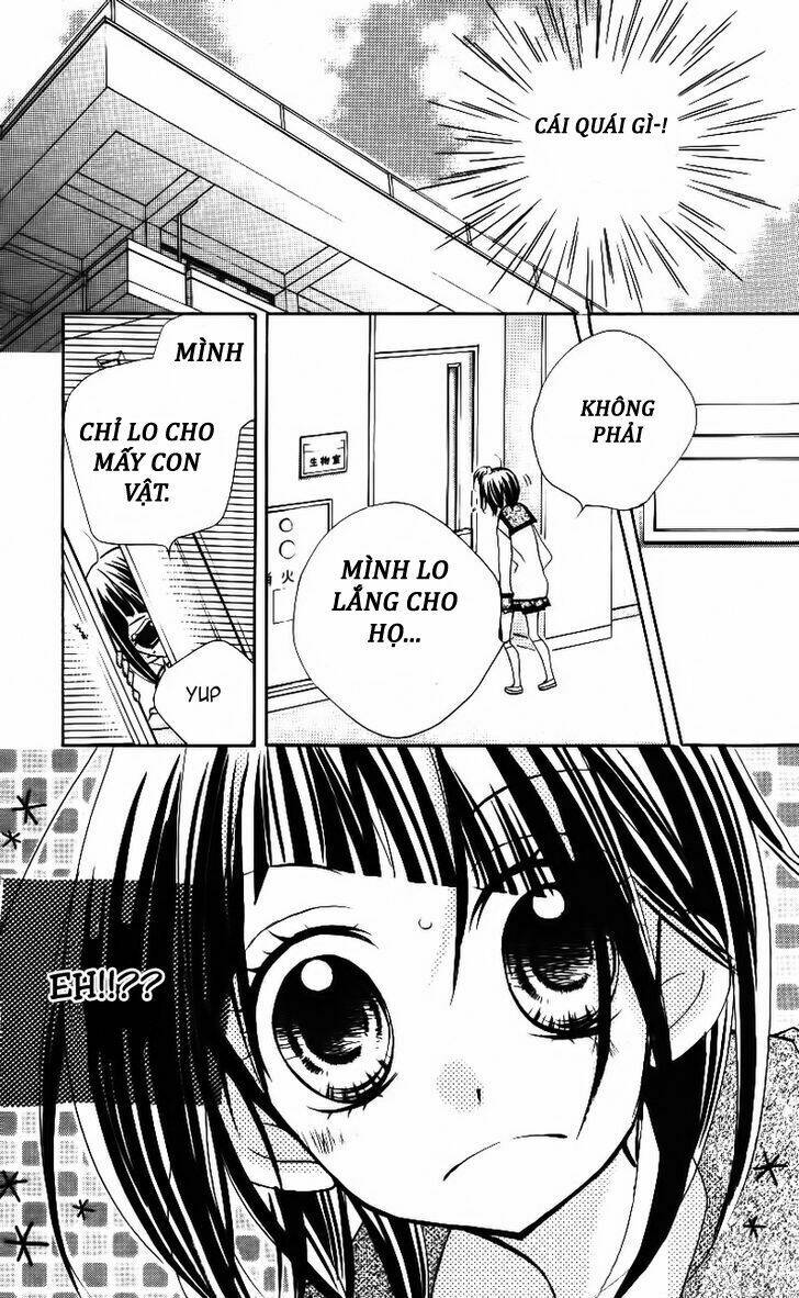 1-Nen 5-Kumi Ikimono Gakari Chương 4 Ảnh 9