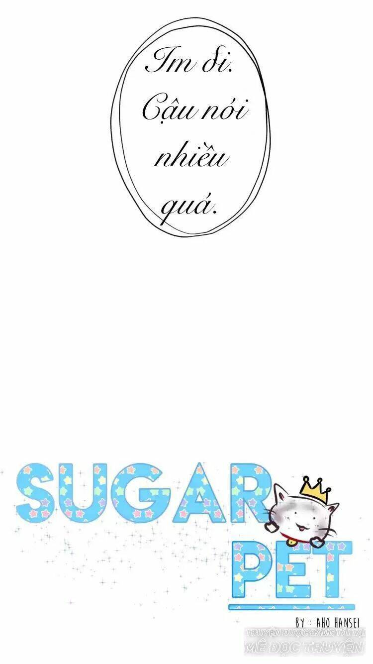 Sugar Pet Chương 16 Ảnh 22