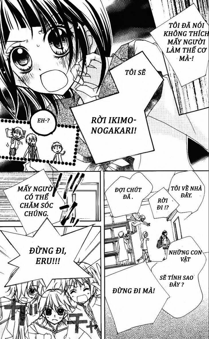 1-Nen 5-Kumi Ikimono Gakari Chương 4 Ảnh 7