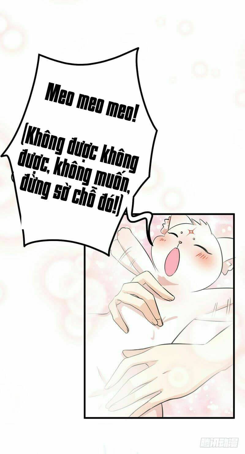 Chinh Phục Bạn Trai Sao Chổi Chương 4 Ảnh 22