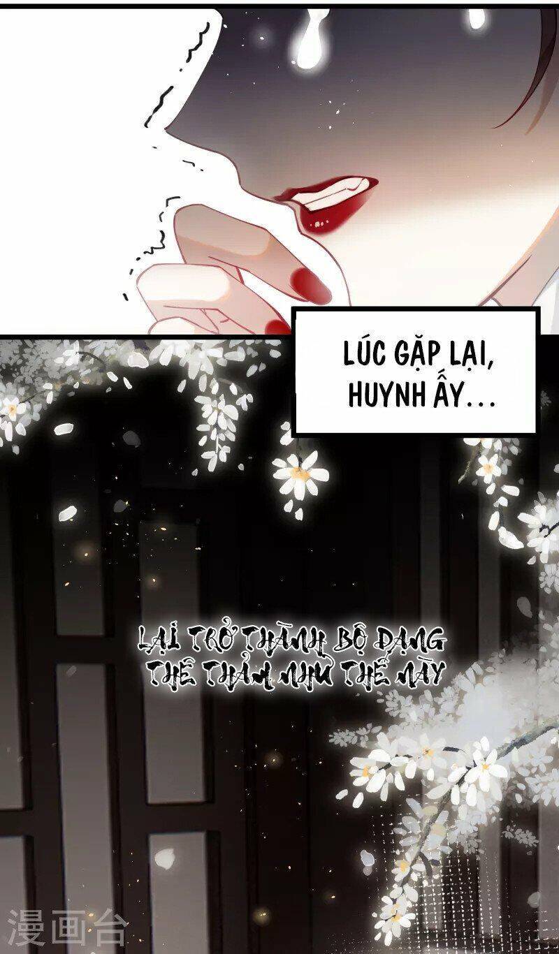Công Chúa Pháo Hôi Muốn Tùy Tiện Đến Cùng Chương 78 Ảnh 4