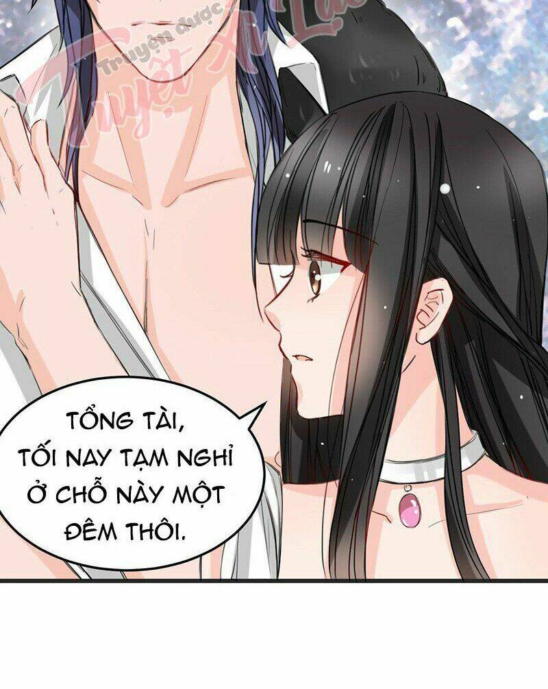 Thú Vương Chuyên Sủng Chương 11 Ảnh 5