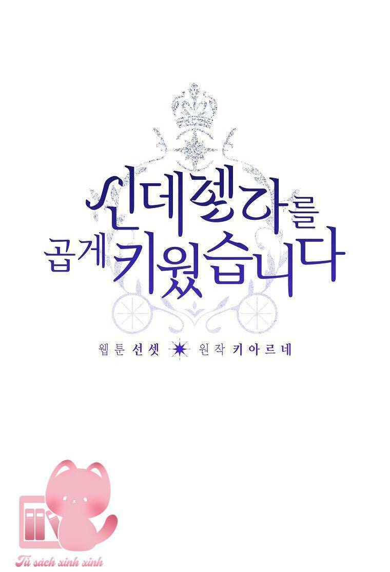 Tôi Trở Thành Mẹ Kế Của Cinderella Chương 95 Ảnh 11
