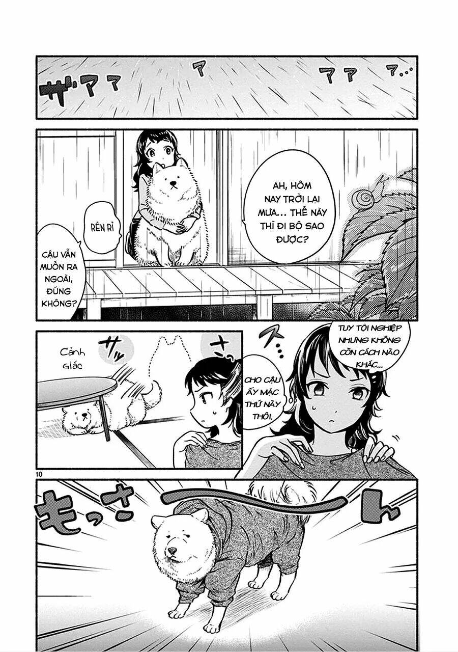 One-Room Wanko Chương 1 Ảnh 15