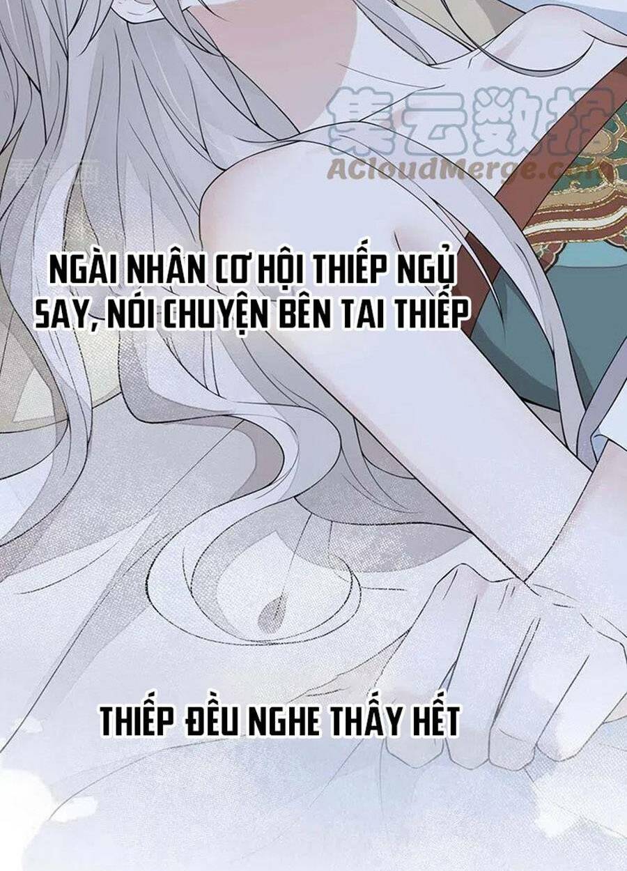 Thái Hậu Quân Hạ Thần Chương 170 Ảnh 28