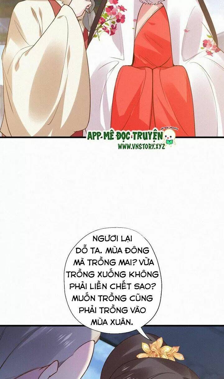 Thiên Hương Mỹ Nhân Chương 124 Ảnh 12