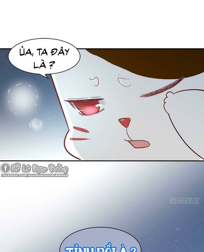 Ảnh Đế Yêu Hồ Chương 61 Ảnh 44