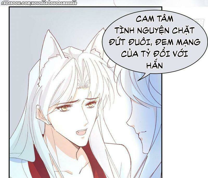 Ảnh Đế Yêu Hồ Chương 60 Ảnh 44