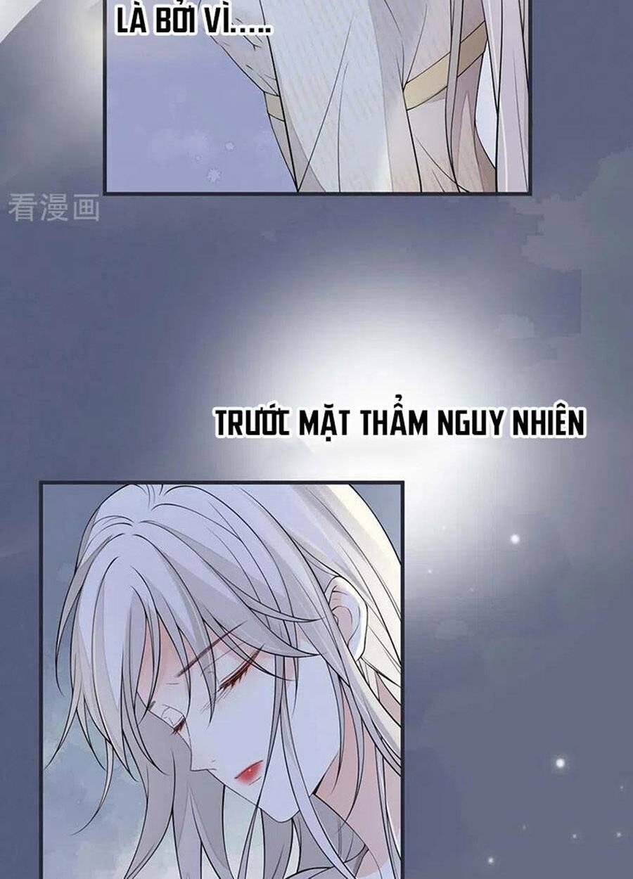 Thái Hậu Quân Hạ Thần Chương 165 Ảnh 17