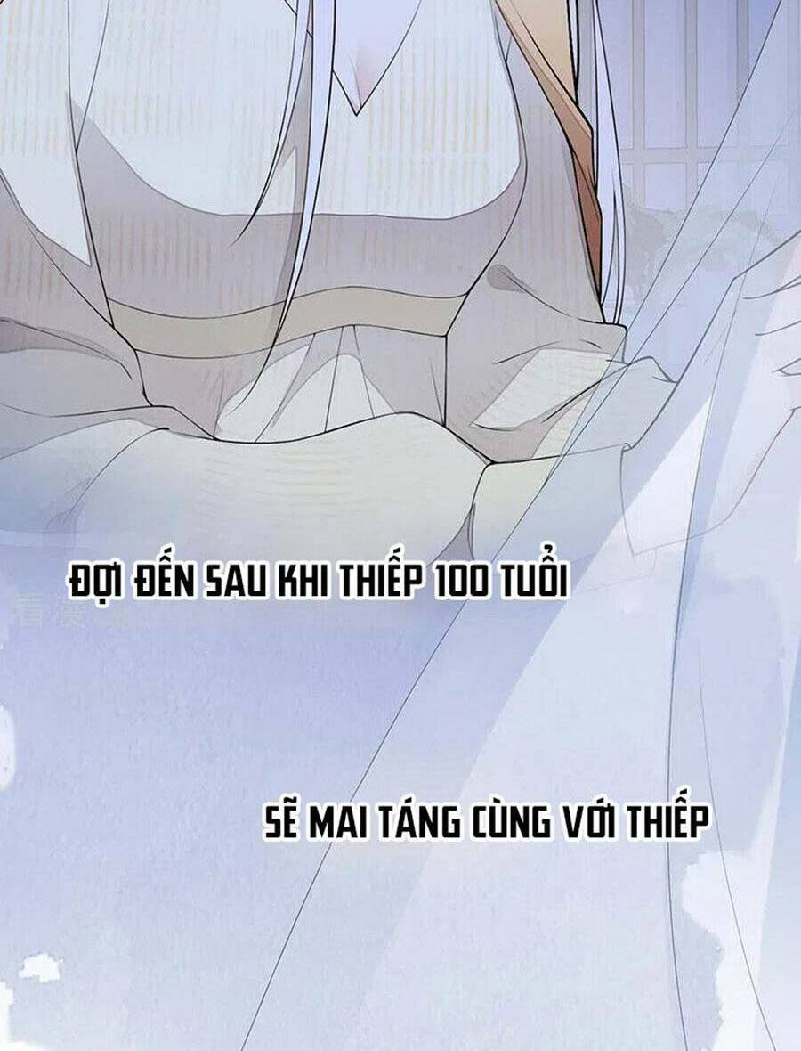 Thái Hậu Quân Hạ Thần Chương 170 Ảnh 26