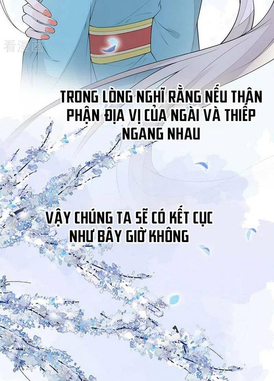 Thái Hậu Quân Hạ Thần Chương 170 Ảnh 33