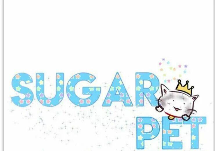 Sugar Pet Chương 24 Ảnh 10