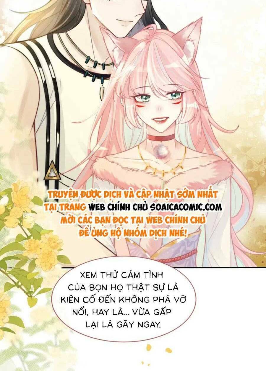 Xuyên Nhanh Nữ Phụ Bình Tĩnh Chút Chương 174 Ảnh 33