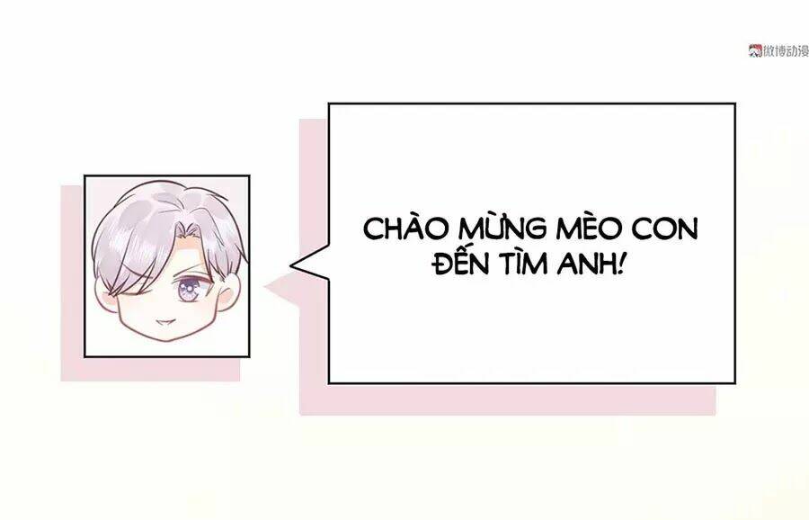 Bọn Họ Đều Muốn Gả Cho Tôi Làm Sao Đây? Chương 20 Ảnh 37