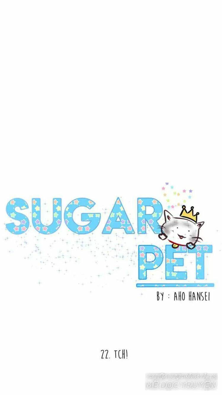 Sugar Pet Chương 22 Ảnh 27