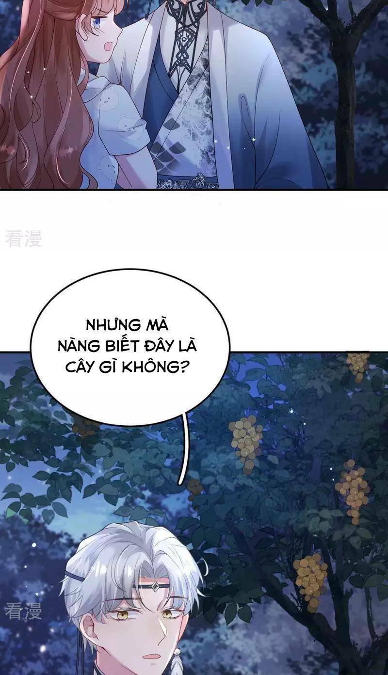 Mỗi Ngày Một Nụ Hôn Chương 9 Ảnh 34