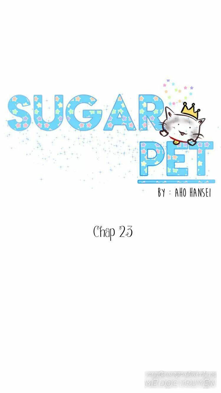 Sugar Pet Chương 23 Ảnh 2