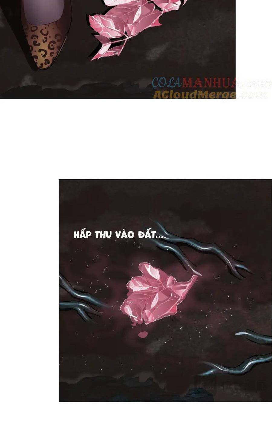 Đằng Nữ Chương 263 Ảnh 23
